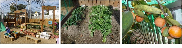 こばとぽっぽ農園