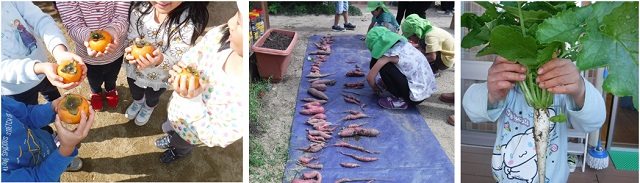 こばとぽっぽ農園