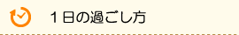 1日の過ごし方